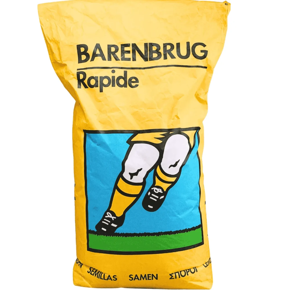 Barenbrug Rapide 15 kg – trawa do regeneracji i zakładania nowych muraw