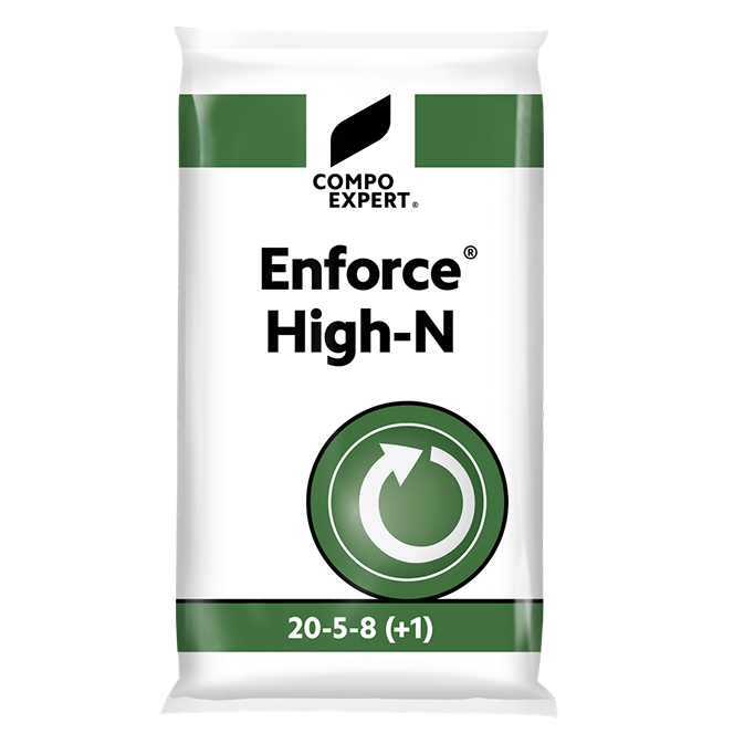 02_Enforce_High_N_20-5-8