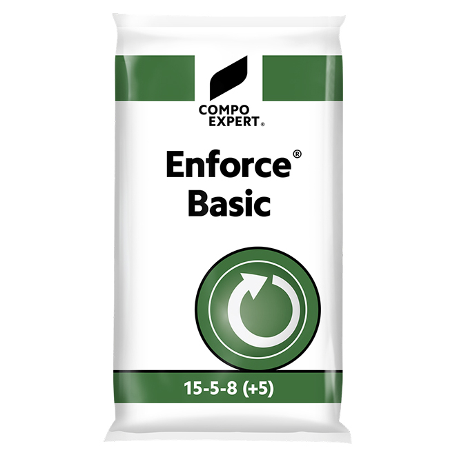 03_Enforce_Basic_15-5-8